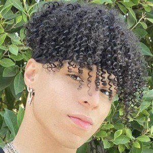 Larray's voice - Text to Speech AI