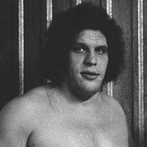 Andre the Giant's voice - Text to Speech AI