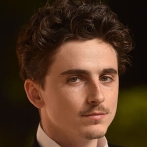 Voz de Timothée Chalamet - Text to Speech