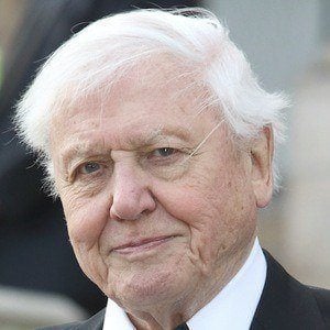 Voz de David Attenborough - Text to Speech