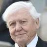 David Attenborough TV Show Host voice for text-to-speech