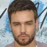 Liam Payne Pop Singer voice for text-to-speech