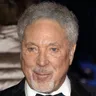 Tom Jones Pop Singer voice for text-to-speech