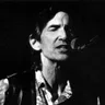 Townes Van Zandt Country Singer voice for text-to-speech